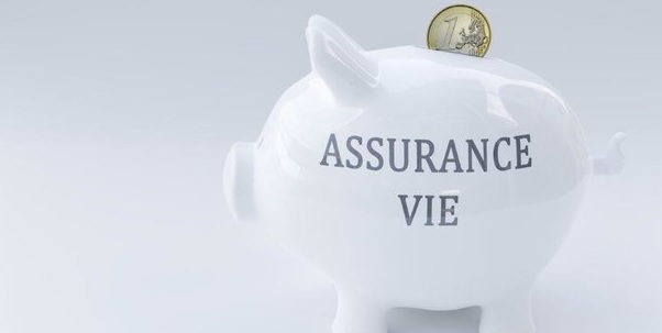 Un expert en assurance vie : c'est quoi ?