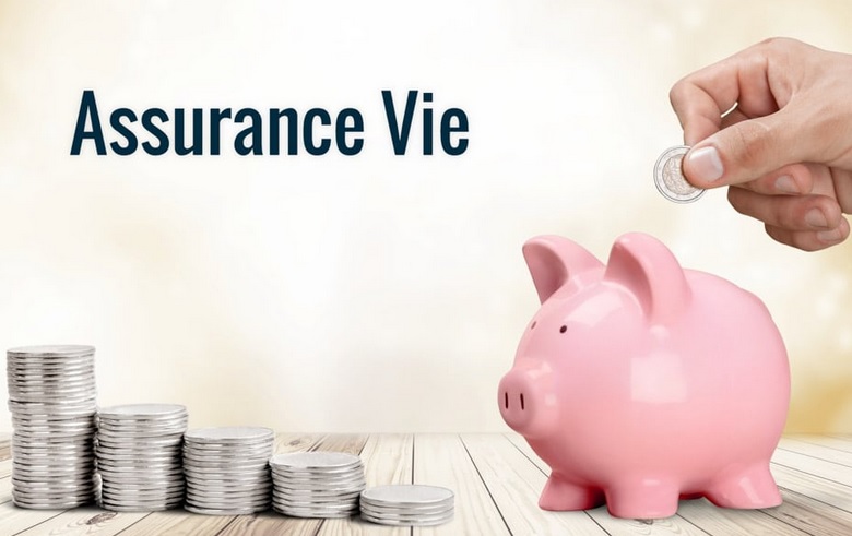 Placement financier dans une assurance vie : des inconvénients ?